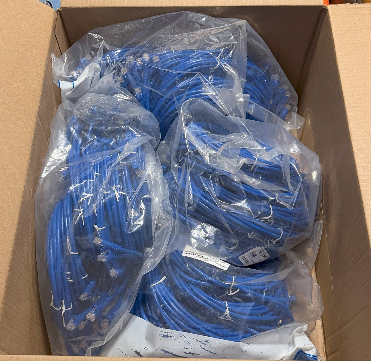 Cat 6 10 Foot Patch Cables
