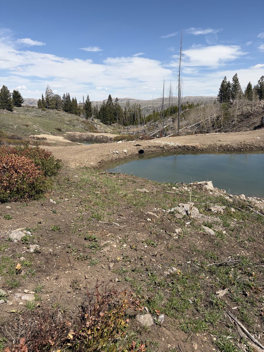Main image 11