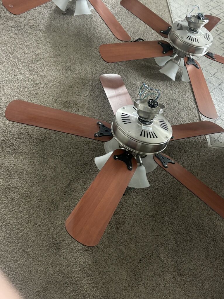 Ceiling Fans