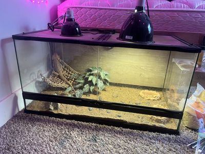 40 Gallon front open cage
