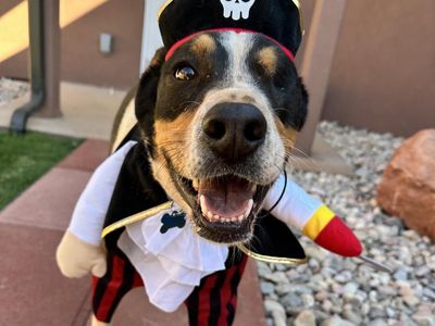 Hello my name is Eyesha