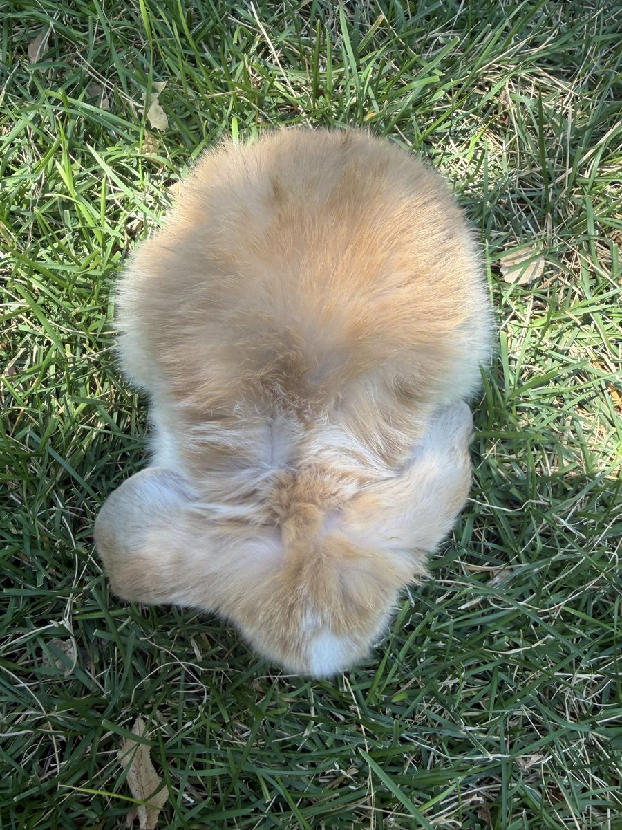 Main image 3