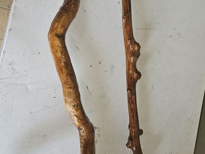 Handmade Driftwood walking sticks( Canes )