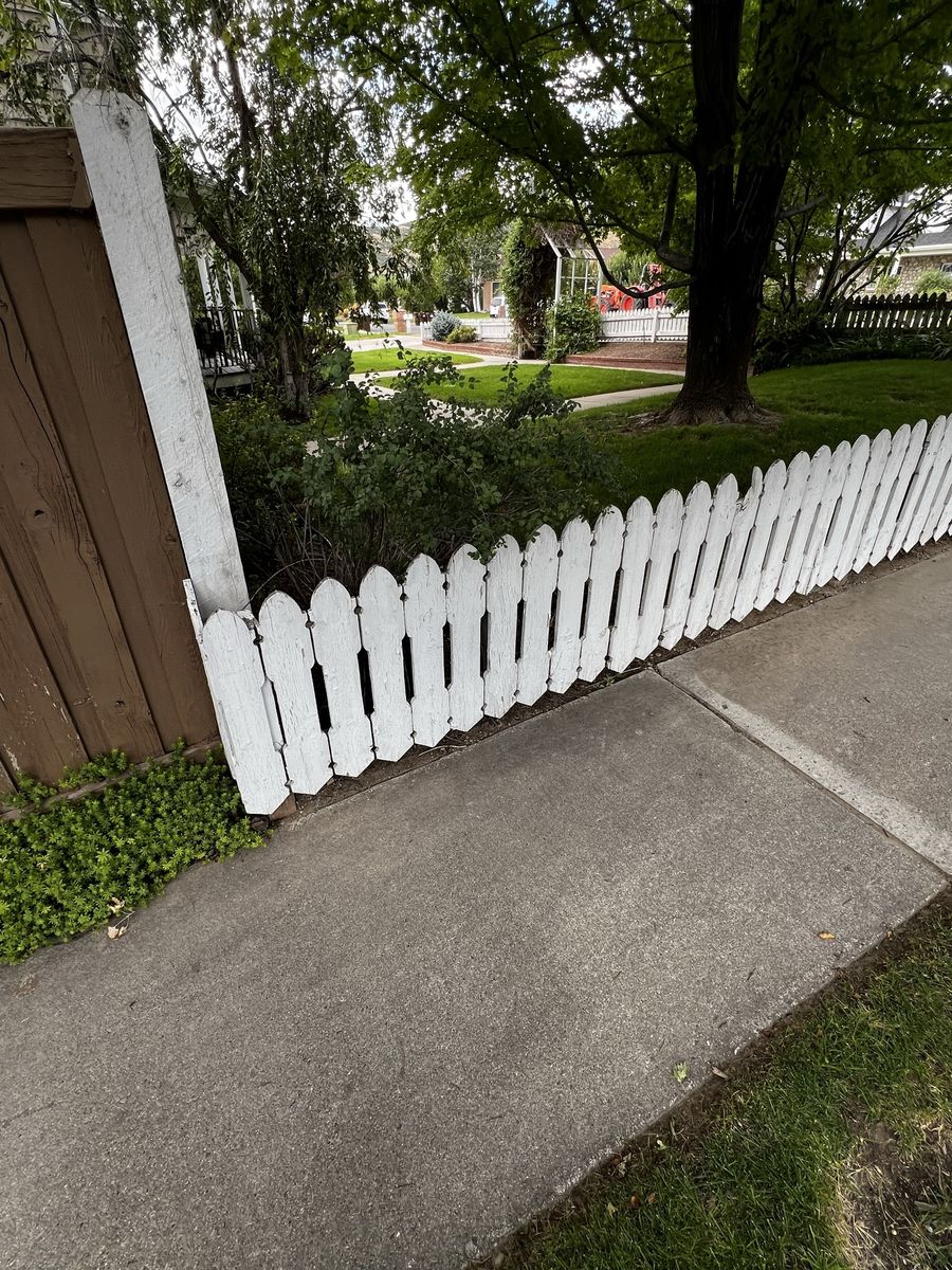 Home and garden