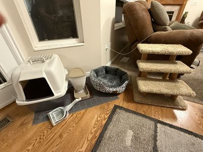 Cat Supplies
