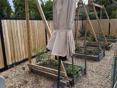 Patio Umbrella Free