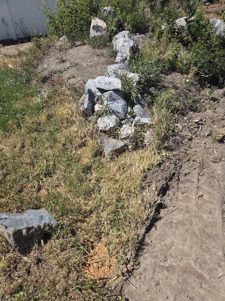Main image 8
