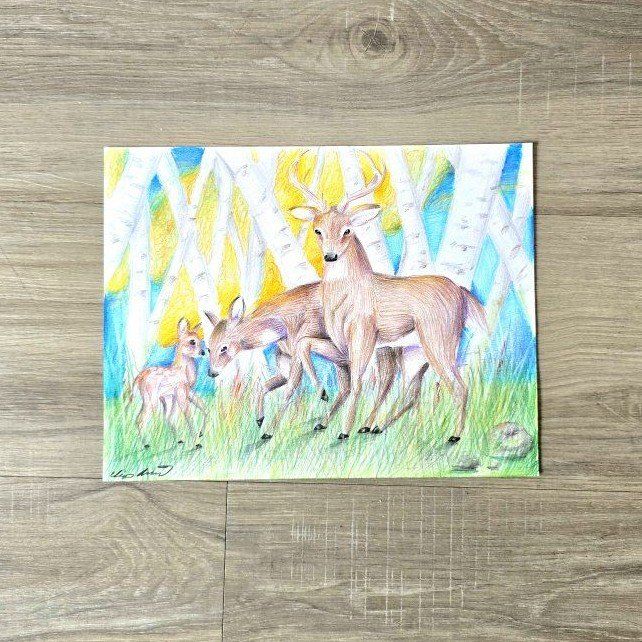 Colored Pencil Drawing of Deer Family in Birch Forest Art