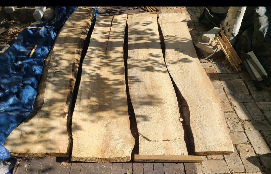Willow Slabs, cash only,  $5 board foot