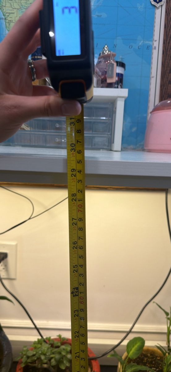 Main image 7