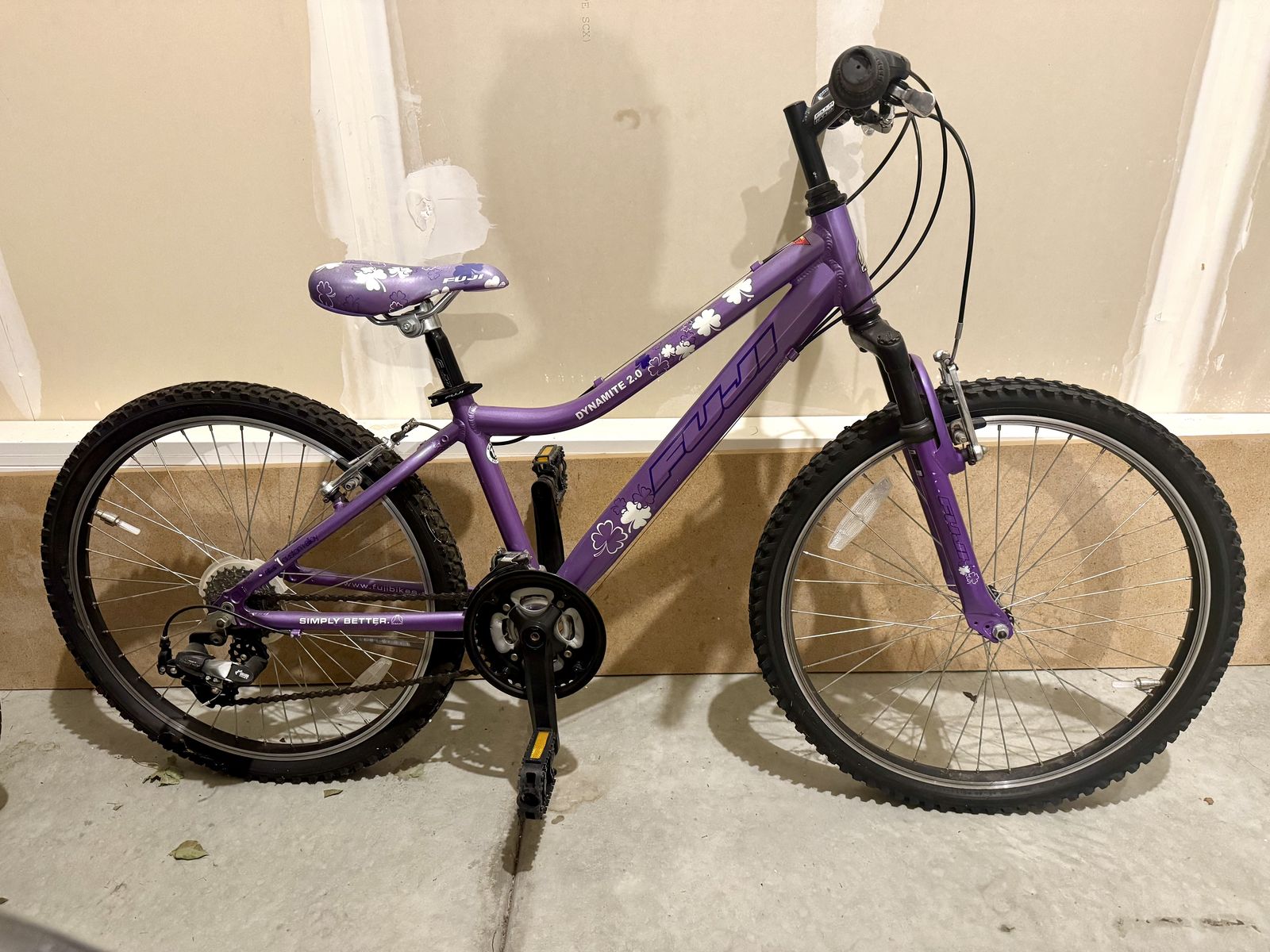 Girls Fuji 24 Inch Bicycle