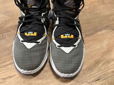 Men’s 11 Nike LeBron 19 Graduate