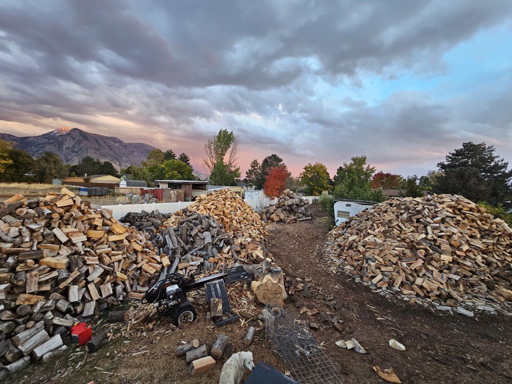 Good Dry Split Firewood