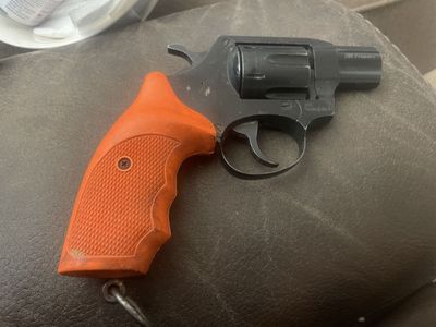 Alfa dog training / starter pistol