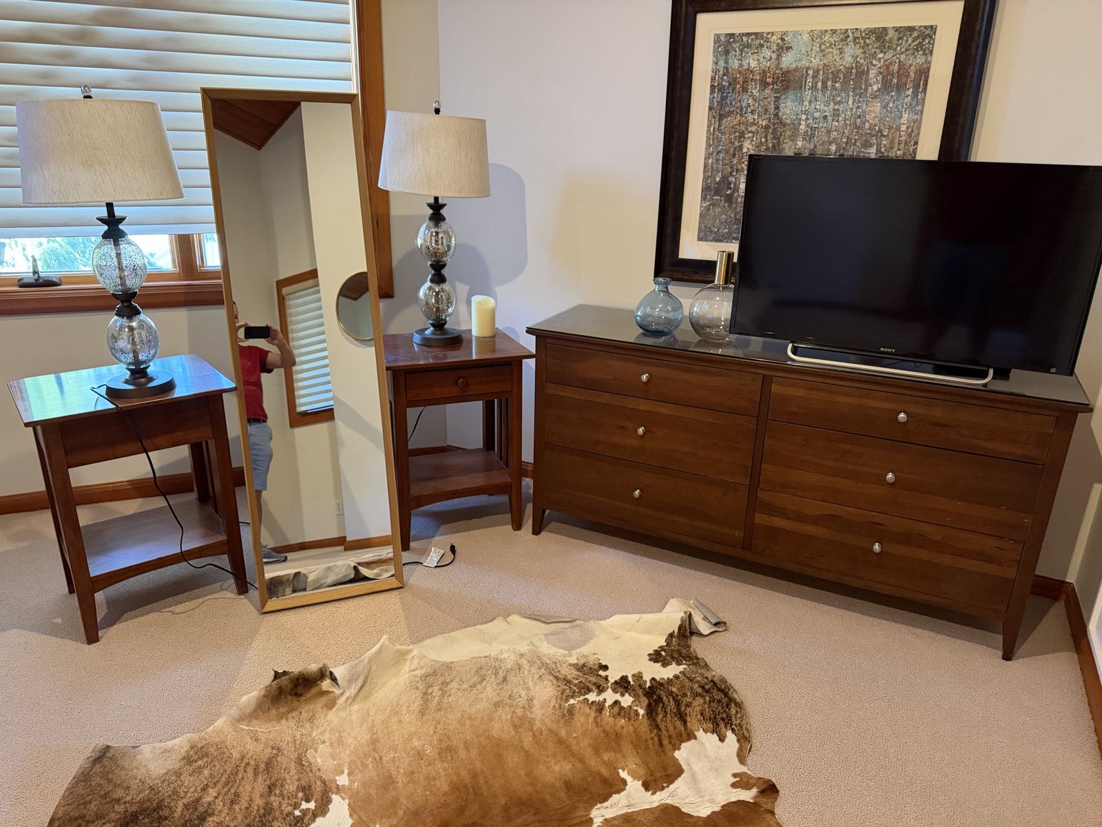 Furniture for sale - sofa, twin beds, dressers, lamps & more 