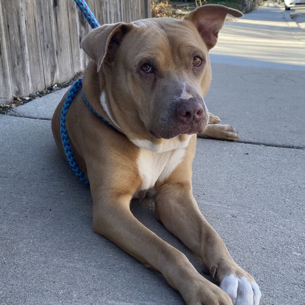 Hello my name is Macy