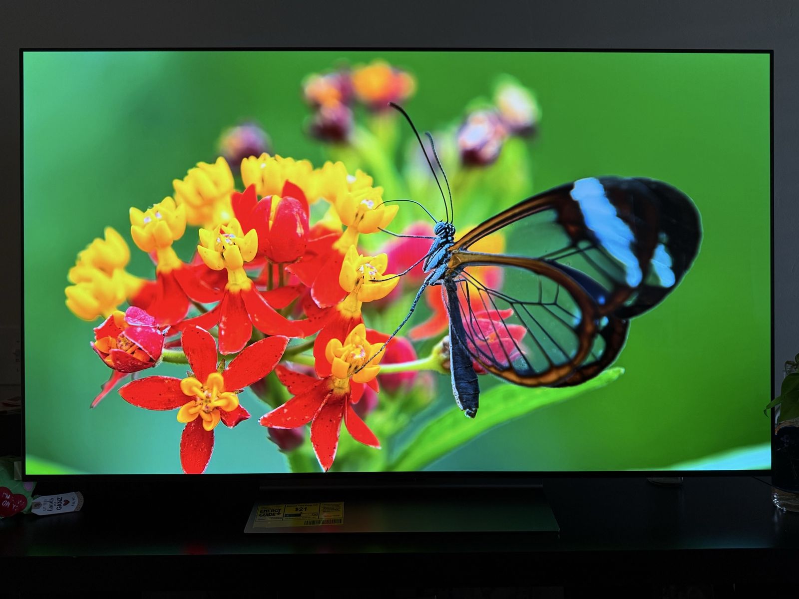 LG 55" C3 OLED - Low Hours (2791) - MINT Condition