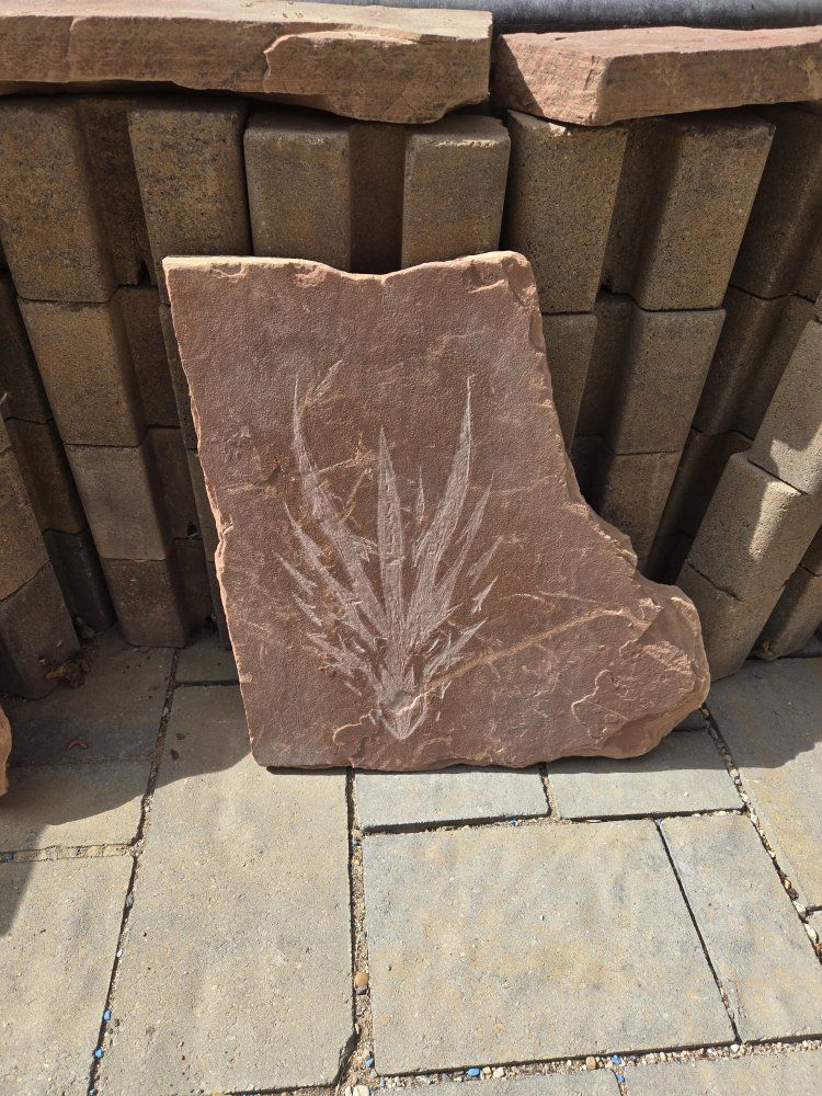 dragon stone Unique Red Sandstone Slab with dragon Impression - Landscaping & Decor