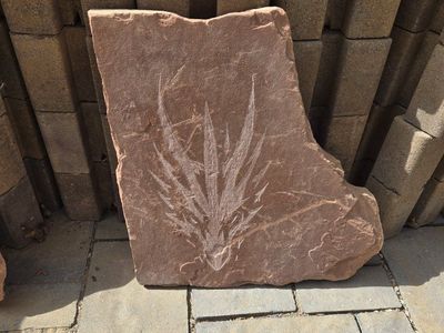 dragon stone Unique Red Sandstone Slab with dragon Impression - Landscaping & Decor