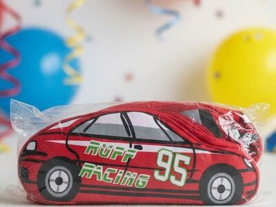 Race Car Party Favor Bag/Gift