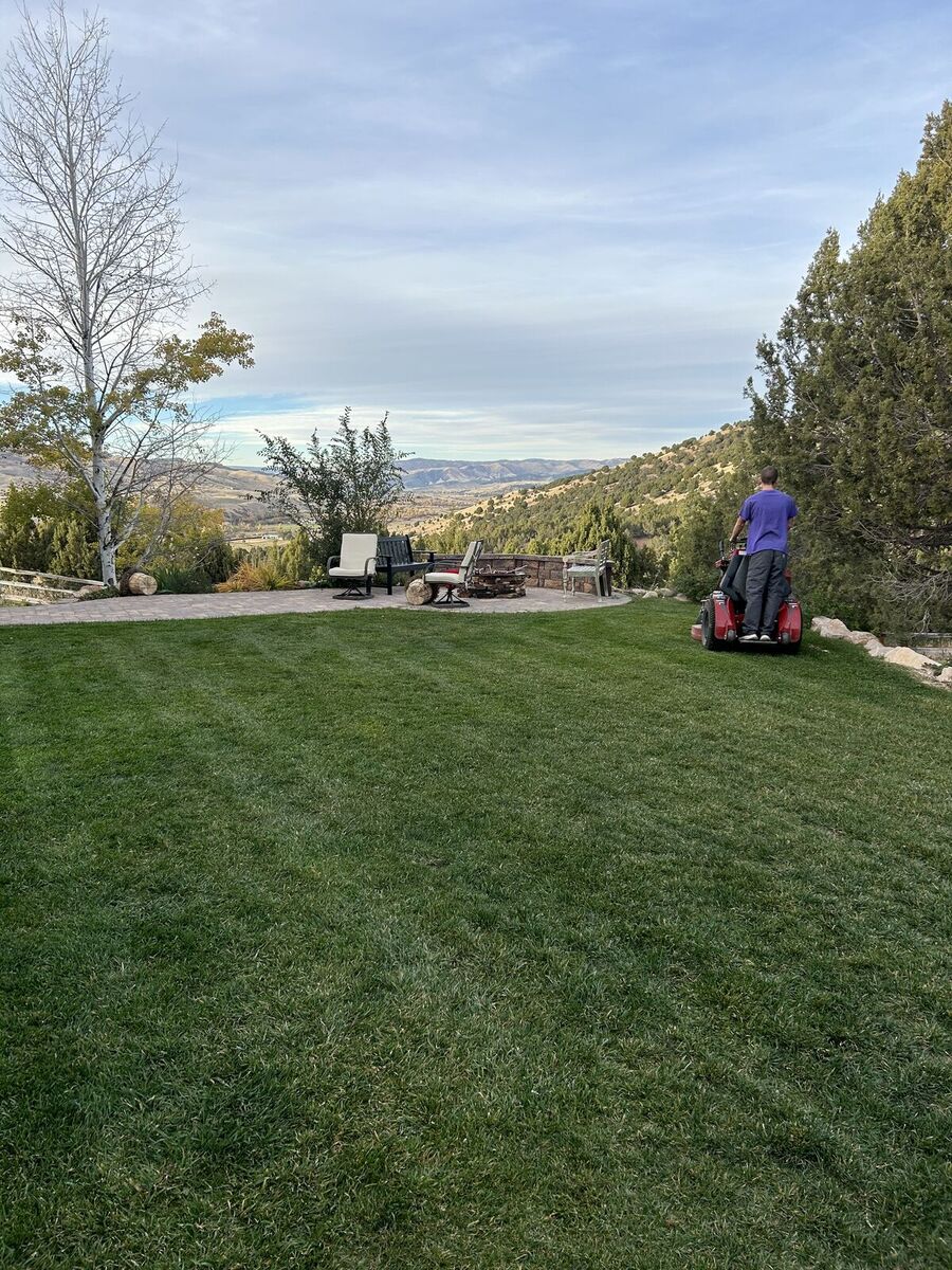 Turn-Key Lawn Care Equipment Package for Sale