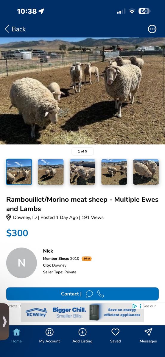 In search of Owner