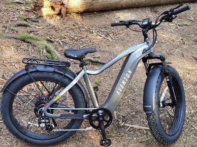 Aventon Aventure Step-over E-Bike - Large, Fat Tires, Integrated Battery, Rear Rack, Fenders