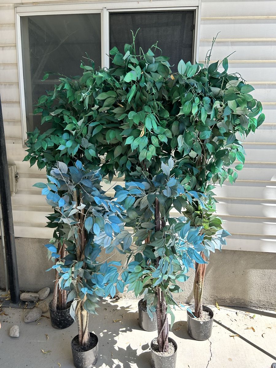 Artificial Ficus Trees - Set of 5 Green & Blue Faux Plants for Home Decor
