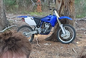 2004 YZ 450F
