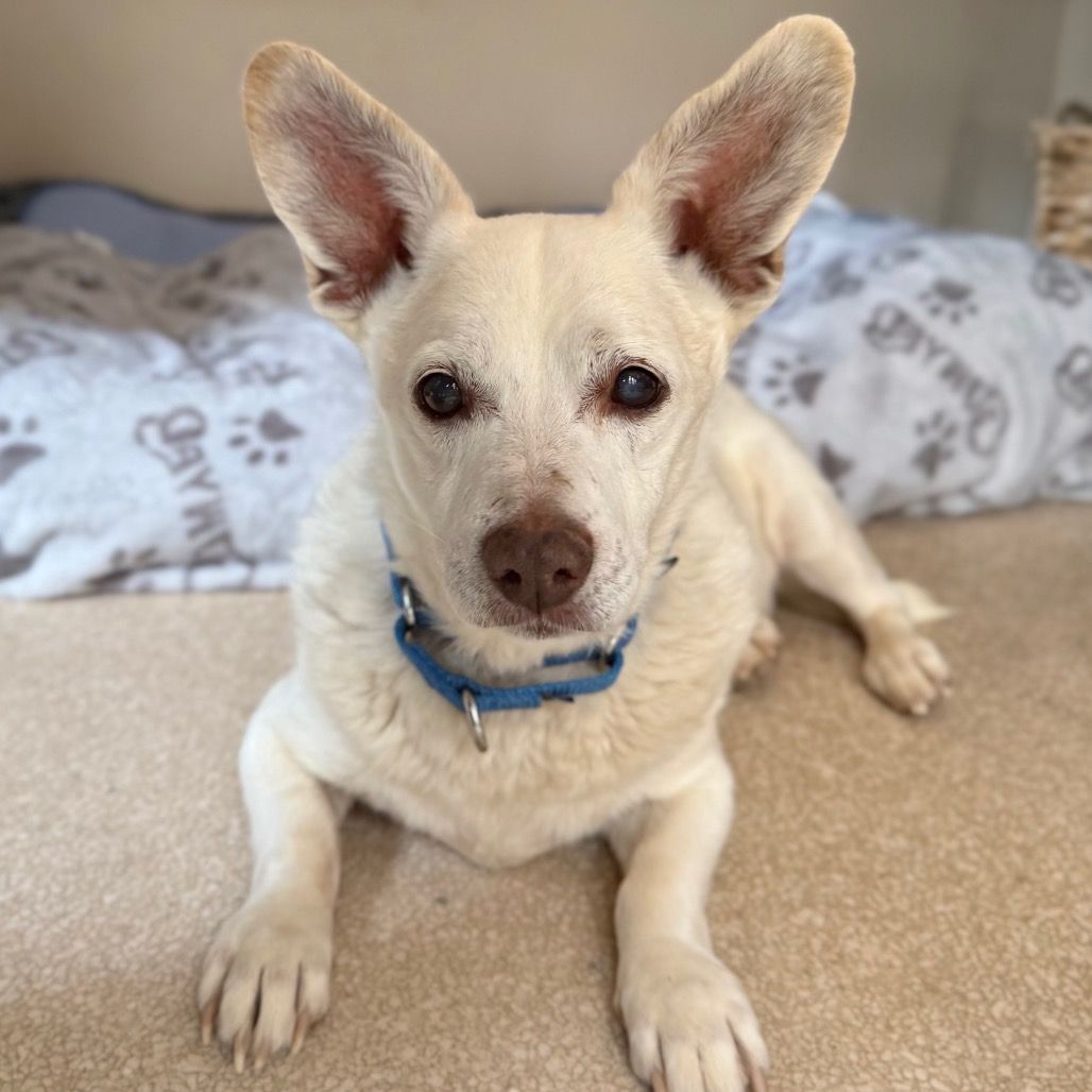 Hello my name is Hubert