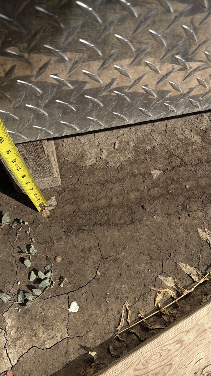 Main image 7