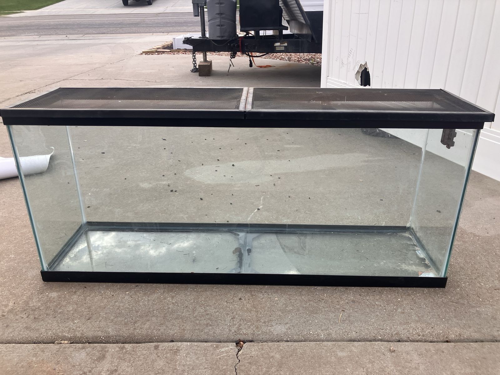 Reptile - Amphibian Tank