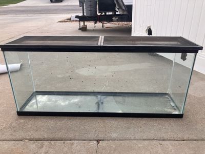 Reptile - Amphibian Tank