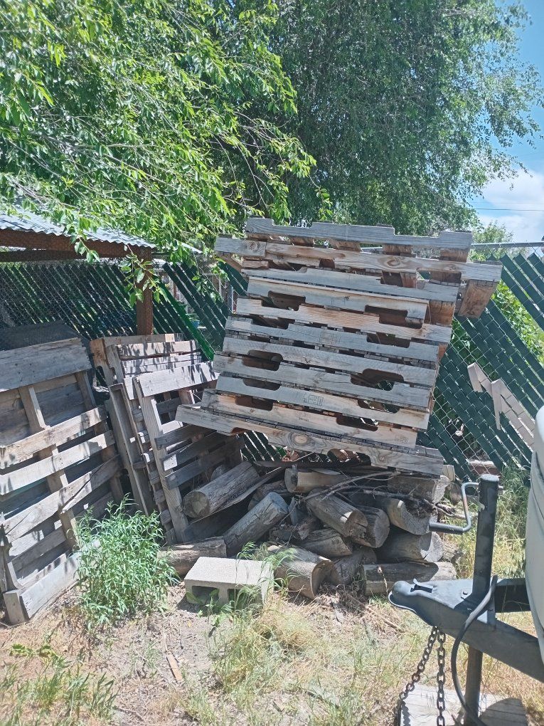Main image 2