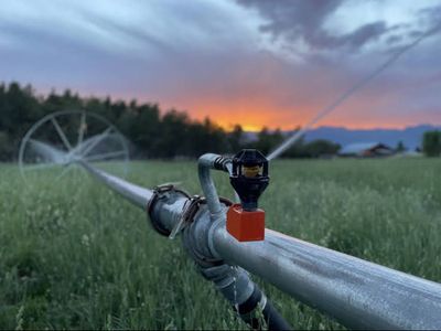 Daniel Irrigation Company Water Shares