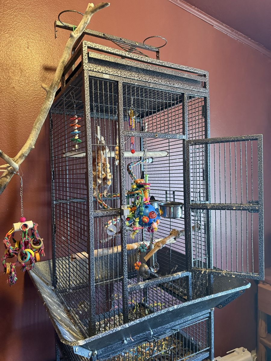 Main image 3