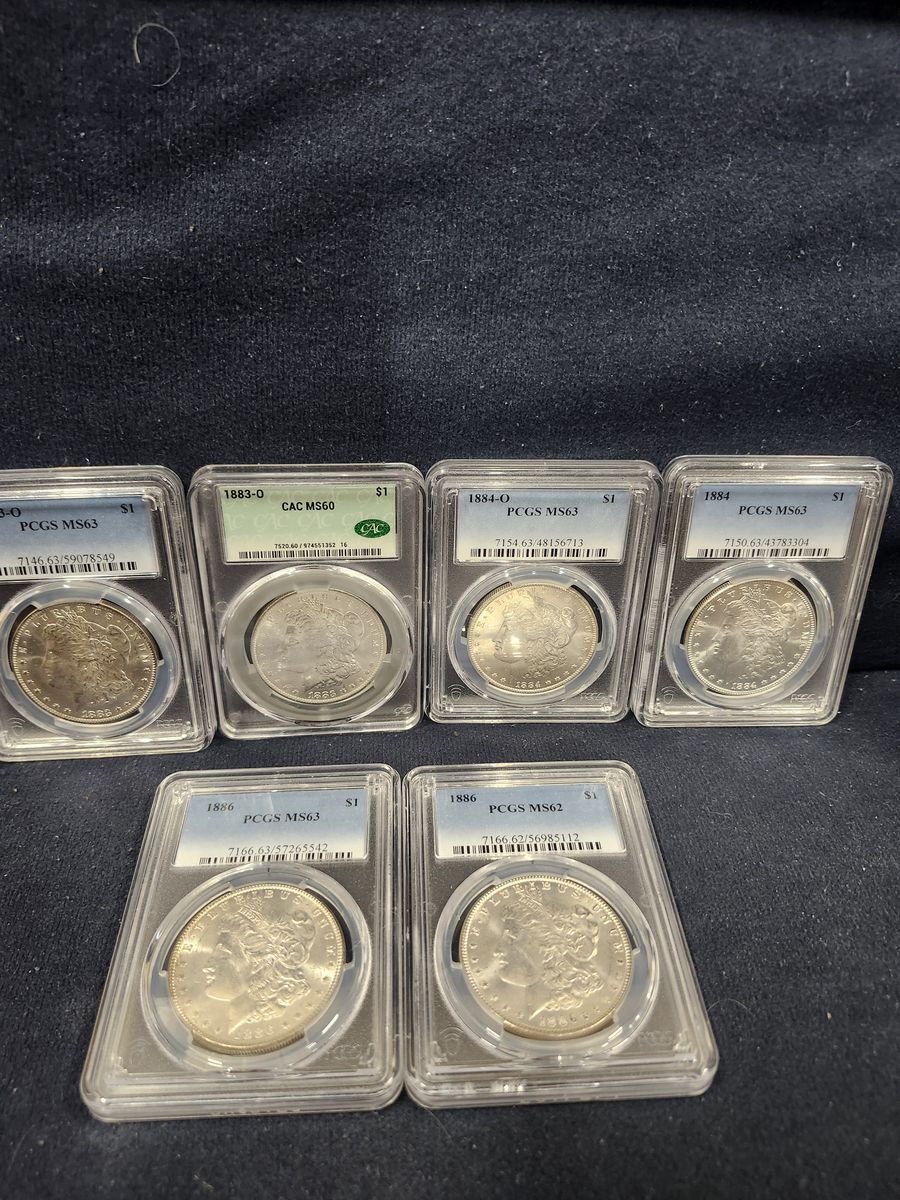 Slabbed graded Morgan dollars