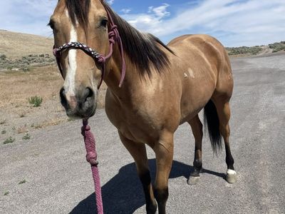 Rope Horse