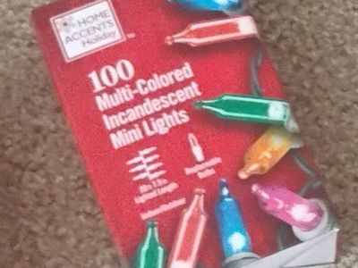 Home Accents Holiday 100 Multi-Colored Incandescent Mini Lights - 20.6ft Length