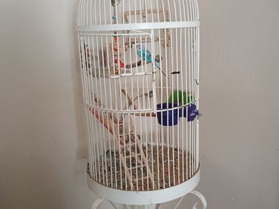 bird cage