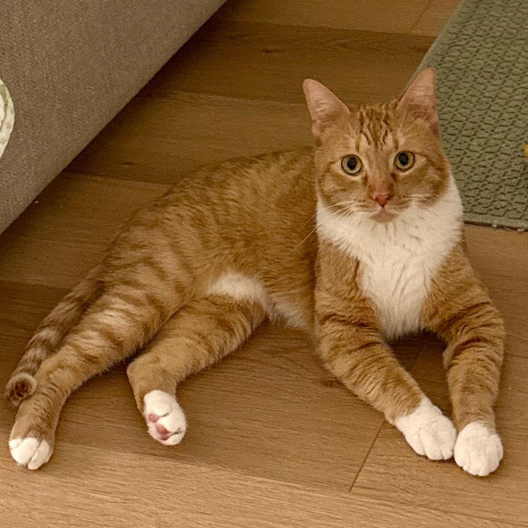 Hello my name is Marty