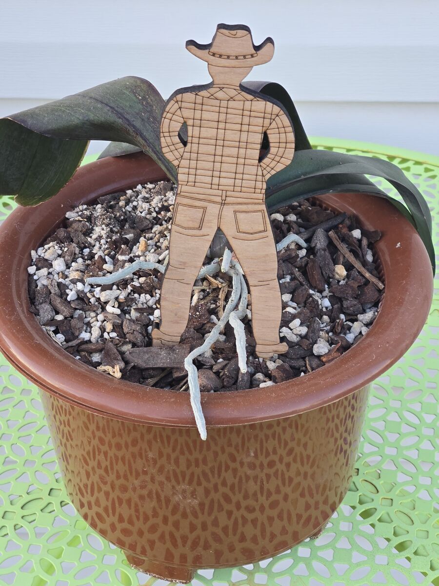 Plant Stake-Peeing Cowboy