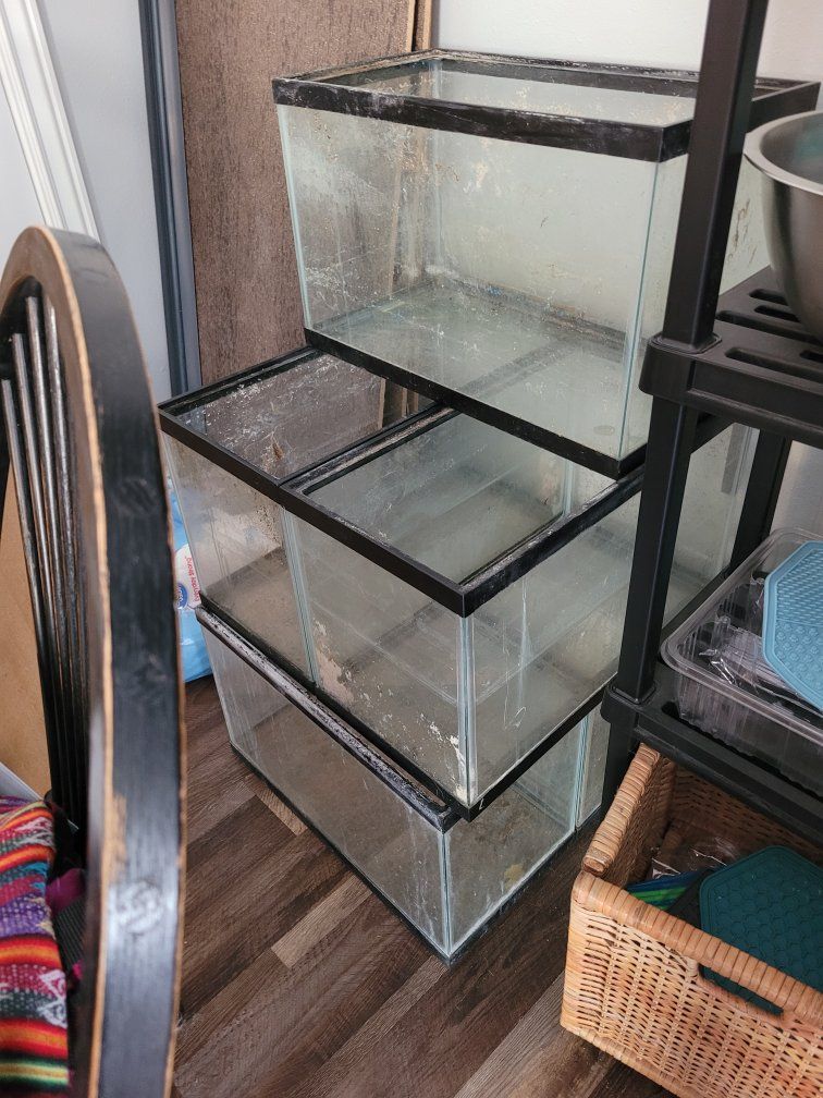 10 gallon fish tanks / aquariums