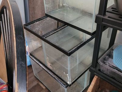 10 gallon fish tanks / aquariums