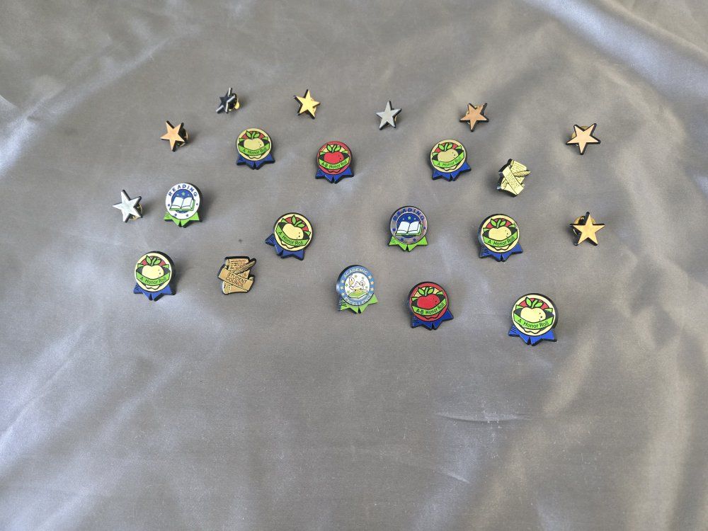 Bulk lot of 20 educational pins - variety
