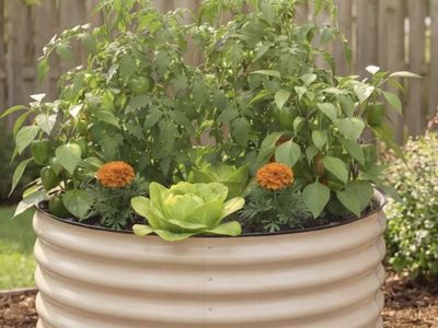 Birdie’s Round Metal Raised Garden Bed 29” Tall