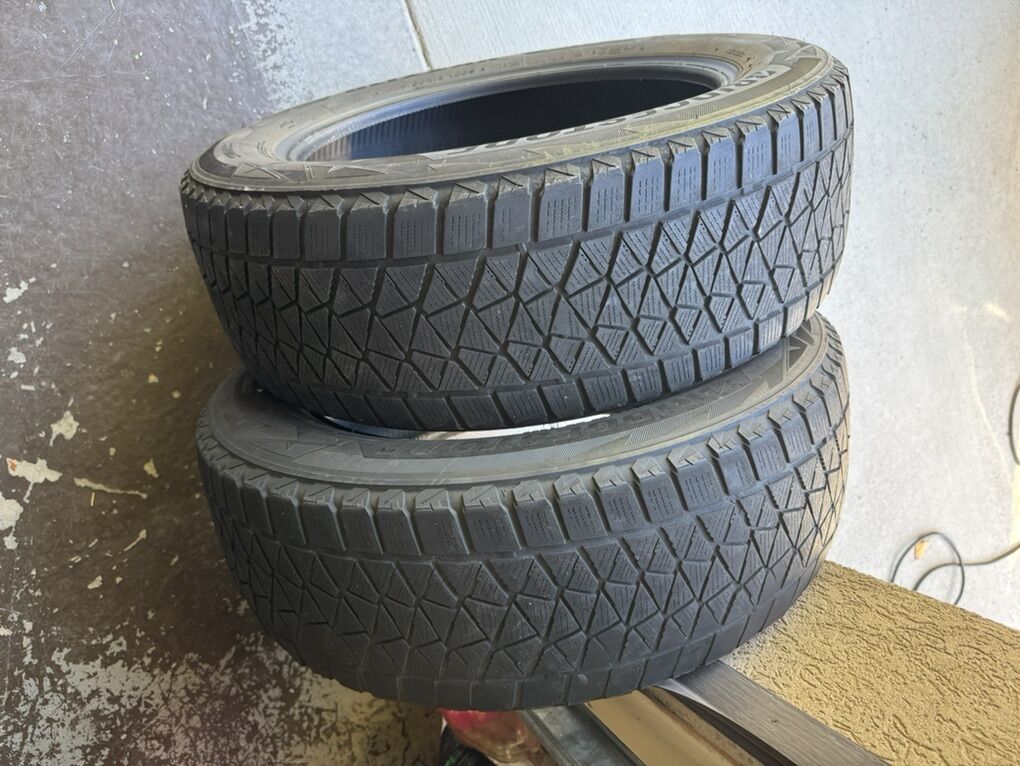 Blizzak DM-V2 tires 225/60R18