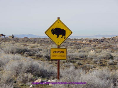 Caution Do Not Approach - Canvas Print