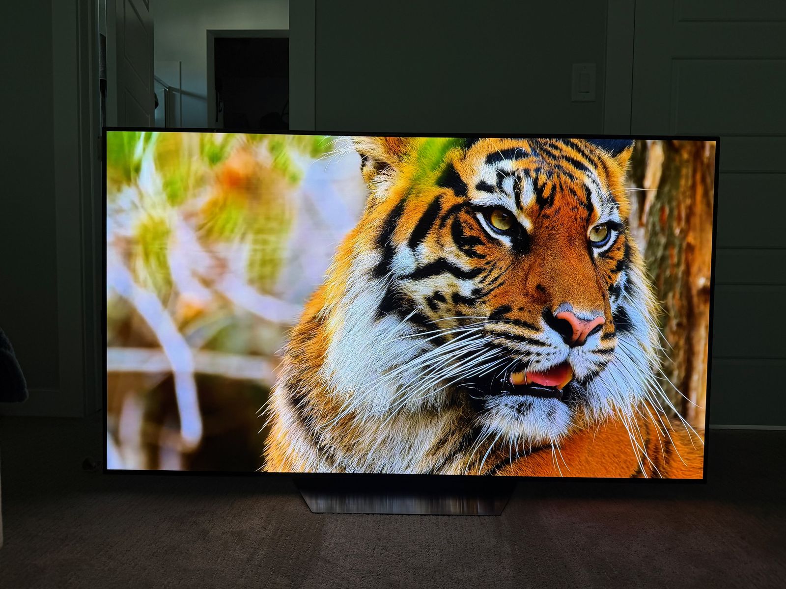 LG B2 65 OLED TV