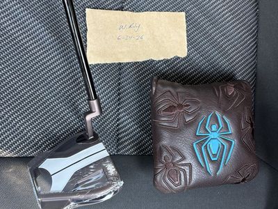 TaylorMade Spider Tour X Putter - Right Handed, New with Headcover-35”